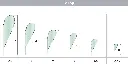 beachflag standard plus - drop.webp
