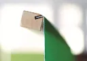 DC - Green boarder-fixation print.webp