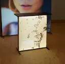 Expand Lightbox Counter
